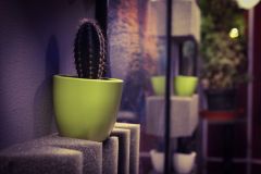 IMG_8175_edited